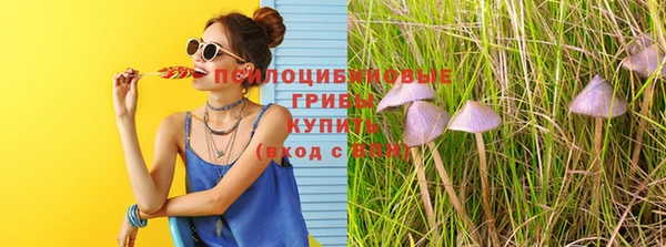 ГАЛЛЮЦИНОГЕННЫЕ ГРИБЫ Осташков