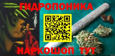 хмурый Бийск