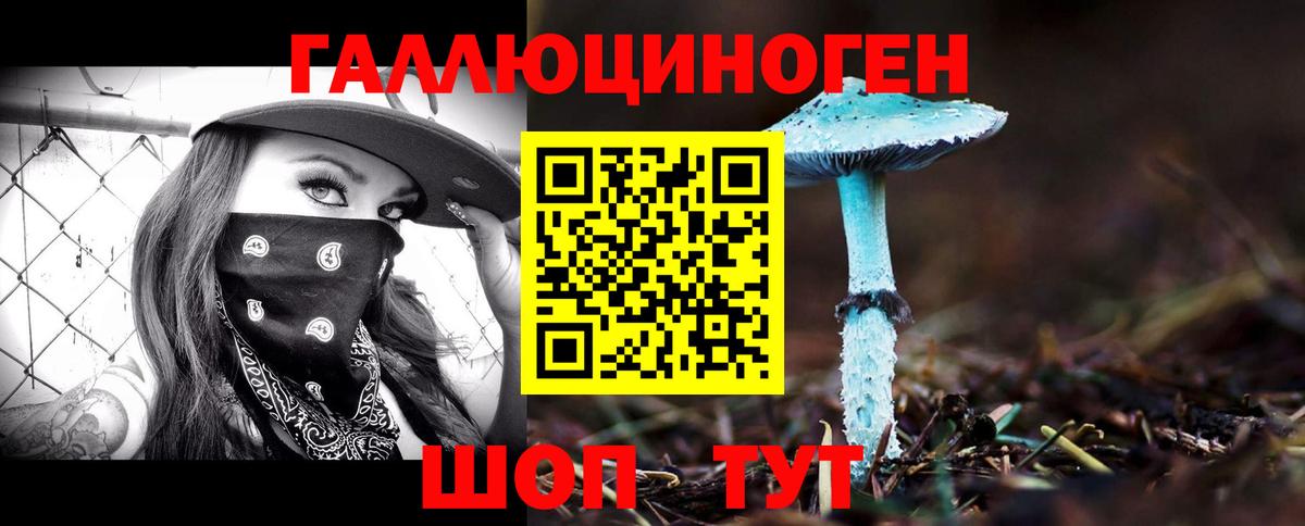 купить закладку  Сафоново  Псилоцибиновые грибы Psilocybine cubensis 