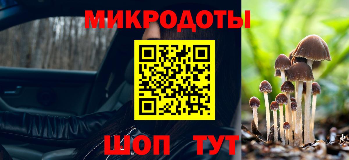 Псилоцибиновые грибы прущие грибы Сафоново